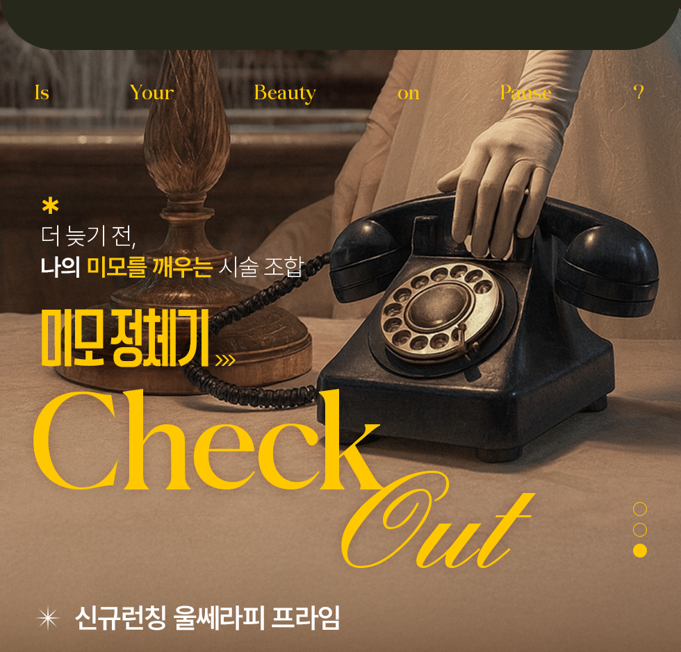 미모 정체기 check out